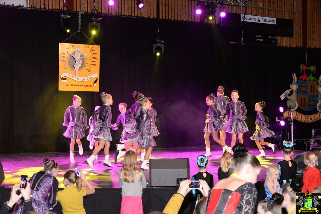 ../Images/Dansmarieke festival 2018 098.jpg